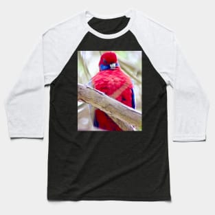 The Crimson Rosella! Baseball T-Shirt